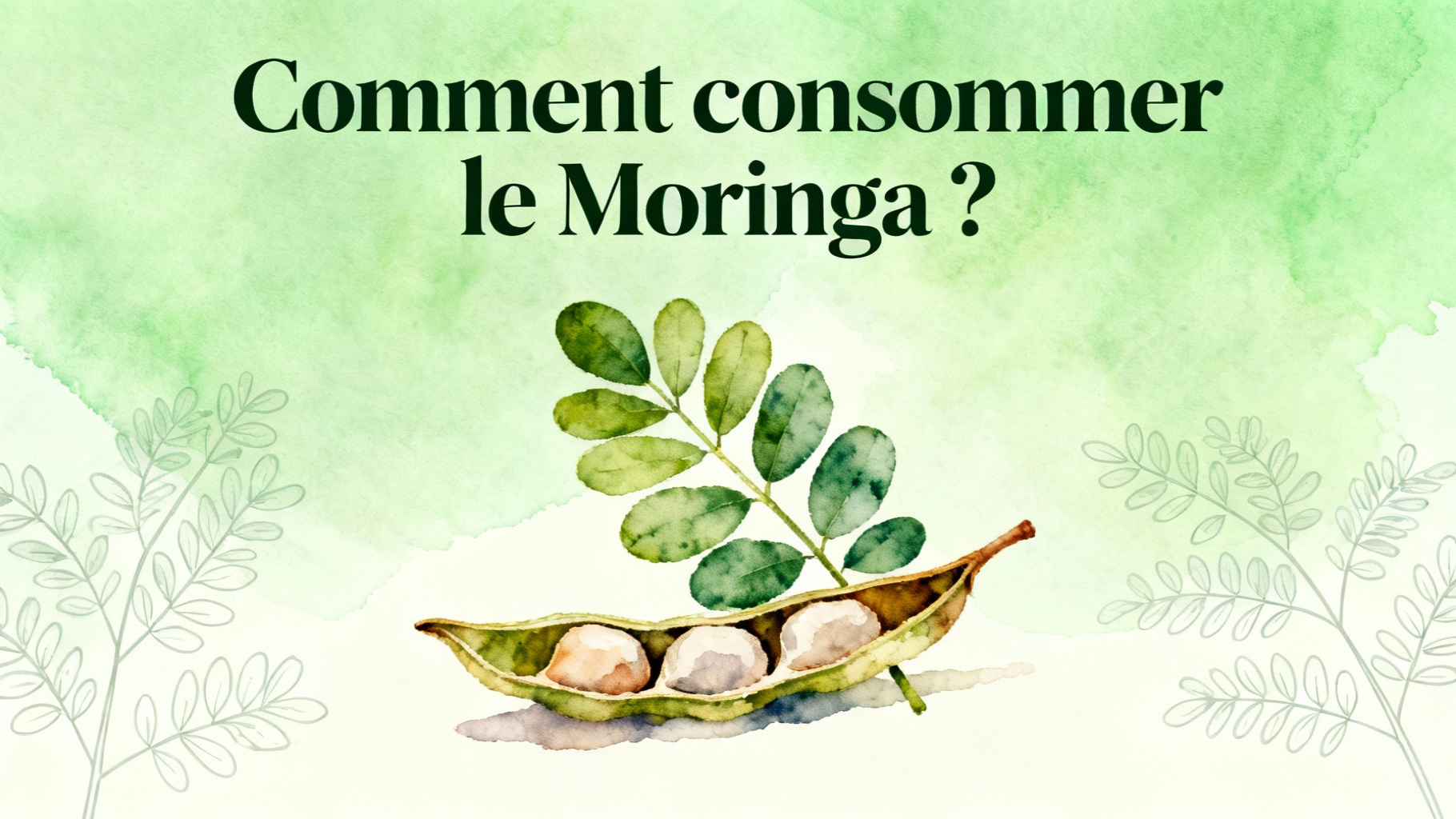 Les maladies guéries par le Moringa : Un remède naturel puissant 1 Comment consommer le Moringa ?